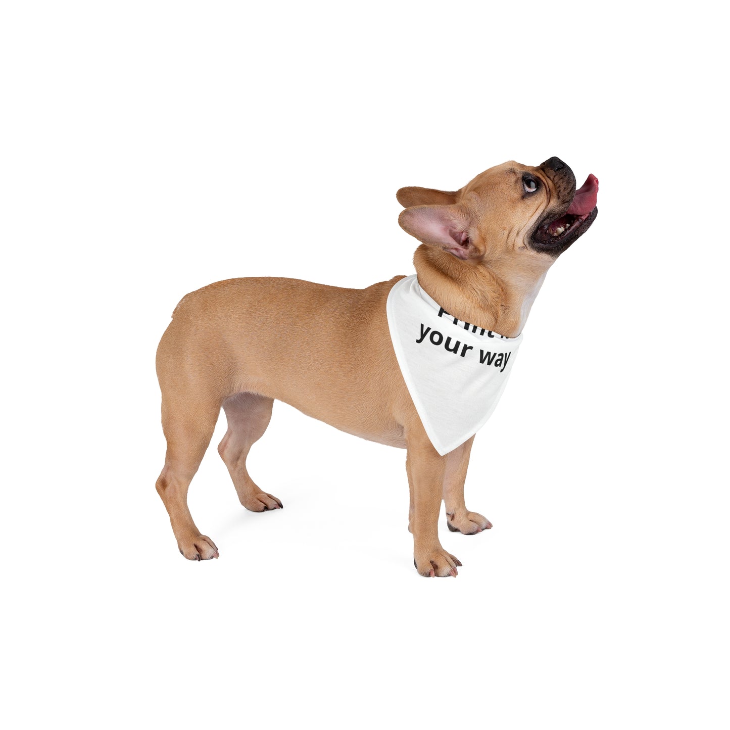 Customizable Pet Bandana — "Print it your way" Personalized Dog & Cat Accessory