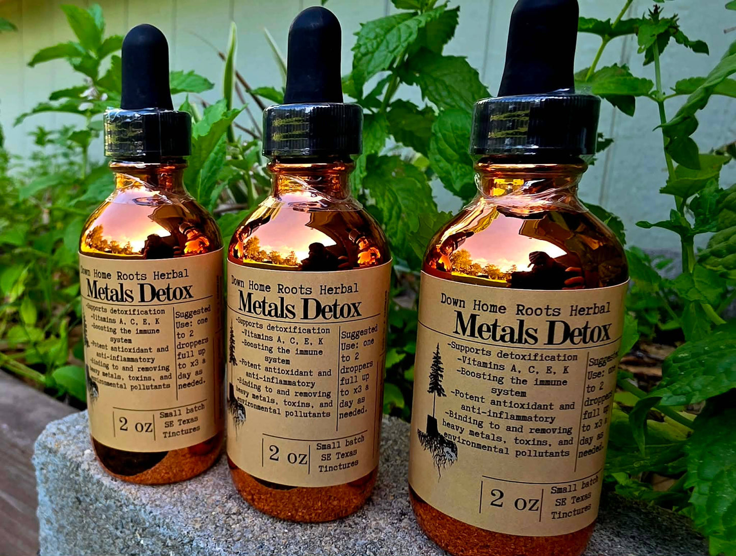 Metals Detox