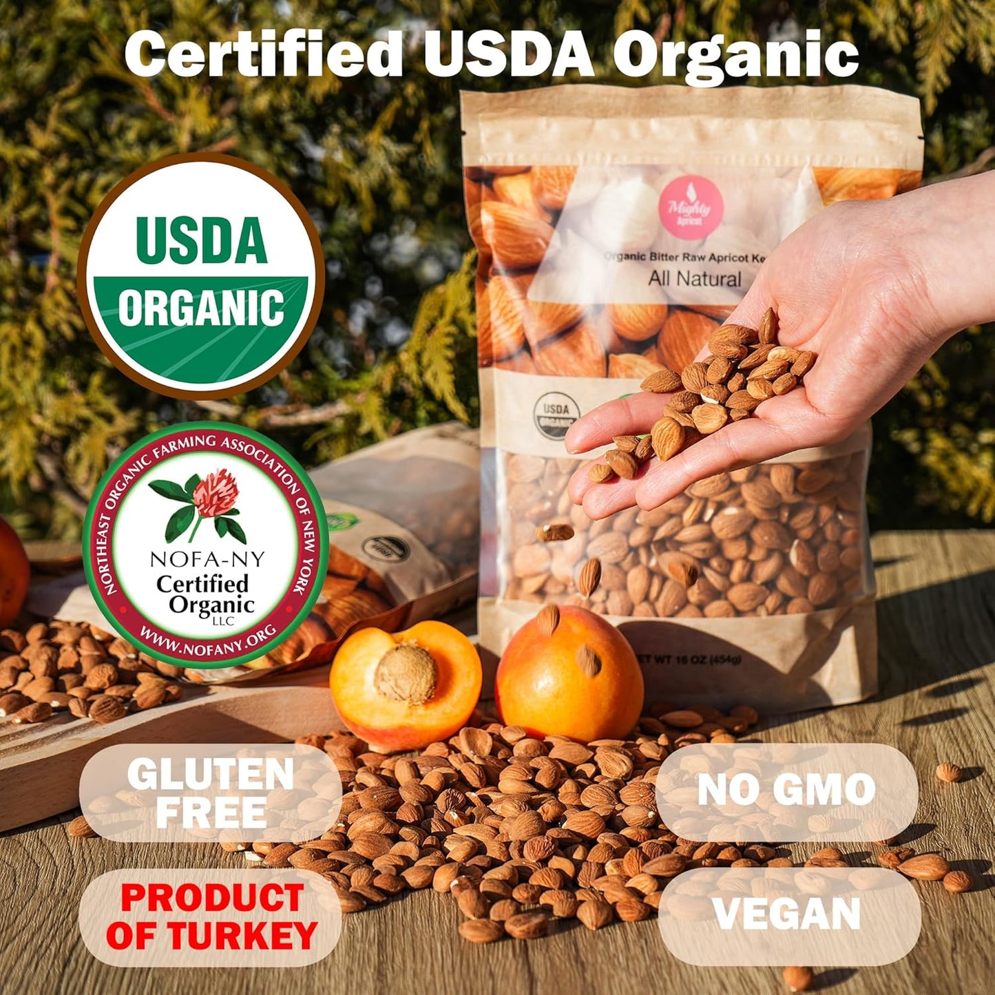 Mighty Apricot USDA Organic Bitter Apricot Seeds 16 Oz (1LB), Vitamin B17 | Natural Raw Bitter Apricot Kernels, Vegan, Non-GMO, Gluten Free, Maximum 3 Kernels/day